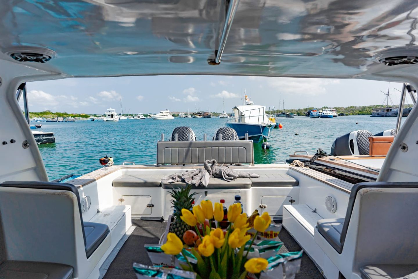 SEA 5 - BOAT CHARTER NUSA PENIDA